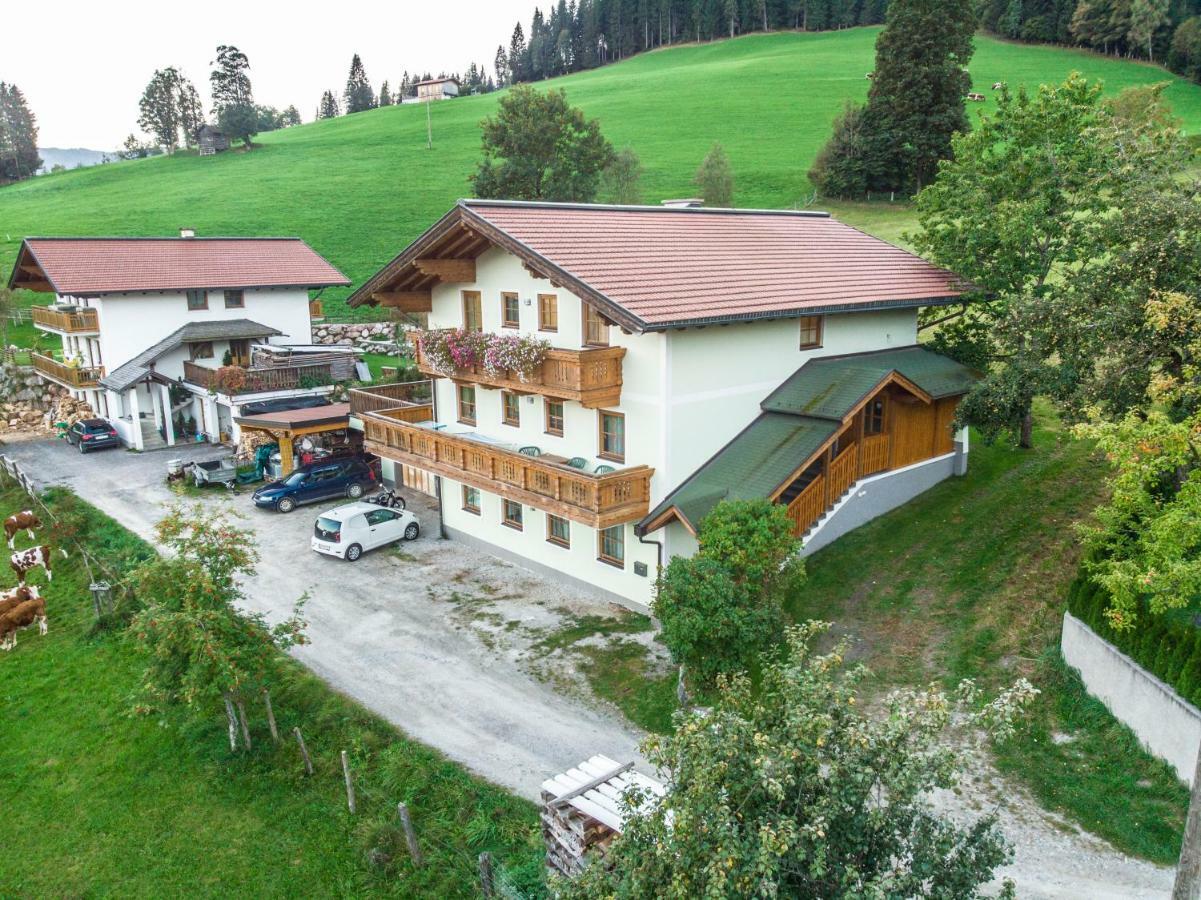 Oberschartlhof Daire Flachau Dış mekan fotoğraf